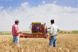Assurance Agricole  Assurancesdesmetiers.com