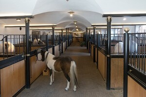 18 Assurance centre equestre